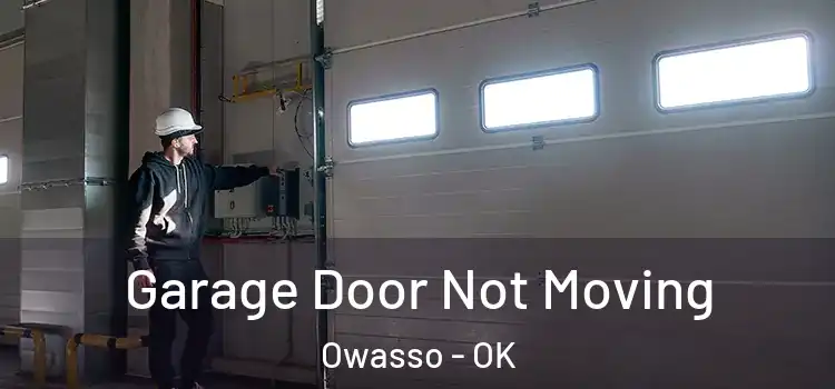  Garage Door Not Moving Owasso - OK